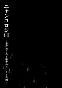 (Mega Akihabara Doujinsai 1) [Kinokonomi (konomi)] Nyancology11 -Usami-san to Himitsu no Apart Ouse…