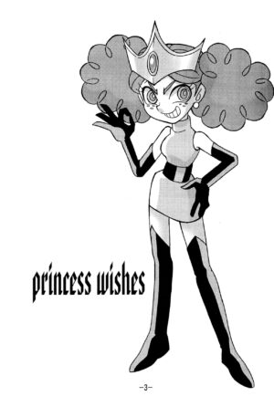 princess wishes
