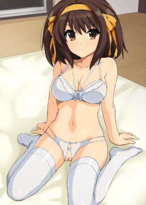 Haruhi Lingerie Collection 01