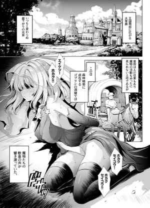 [Type-3] Solais-chan to Tram-chan ga Mamono ni Shikaeshisareru Hon (Sennen Sensou Aigis) [Digital]