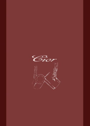 [Cior (ken-1)] Asunama 5 (Sword Art Online) [English] [Stopittarpit] [Colorized] [Digital]
