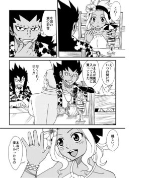 [Cashew] fairy tail galevy fanbook (Fairy Tail)