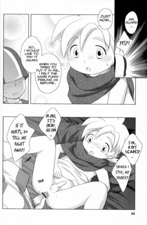 (Shotaket 10) [Tokuda (Ueda Yuu)] Hoshifuru Seisui (Dragon Quest V) [English] [Hikaru Scans]