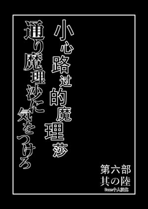 [Hiyashi Chuuka Owarimashita (Zuru)] TooriMarisa ni Ki o Tsukero Sono Riku (Touhou Project) [Chinese] [Digital]