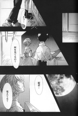 [PEPPY ANGEL (GRAN, Sakuratsuki Rin)] AVALON Lost Episode 0:3 The Space Between (Neon Genesis Evangelion)