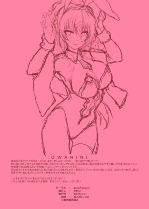 [purplrpouni (Kawai)] Chaldea Bunny Collection (Fate/Grand Order) [English] [SDTLs] [Digital]