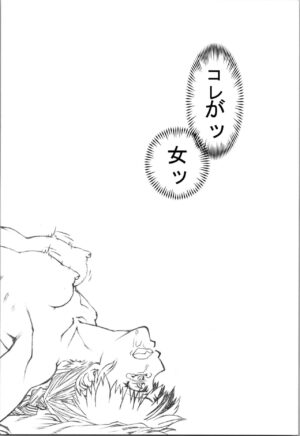 (C101) [Fresnel Lens (Hirano Kana)] Saotome Ranma no Seitai Preview Ver2 (Ranma 1/2)