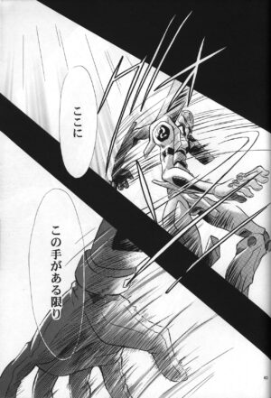 (C61) [PEPPY ANGEL (GRAN, Sakuratsuki Rin)] neon genesis -DocumentＡ- (Neon Genesis Evangelion)
