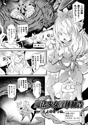 [Anthology] 2D Comic Magazine Shokushu Beya Seigi no Heroine Nikugoku Ryoujoku de Mesu Ochi Acme Vol. 1 [Digital]