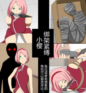 [FYXFD] Sakura kidnapping case