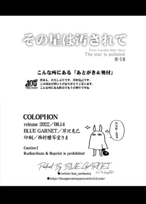 (C100) [Blue Garnet (Serizawa Katsumi)] Sono Hoshi Ha Yogosarete (Bishoujo Senshi Sailor Moon) [Chinese] [胸垫汉化组]