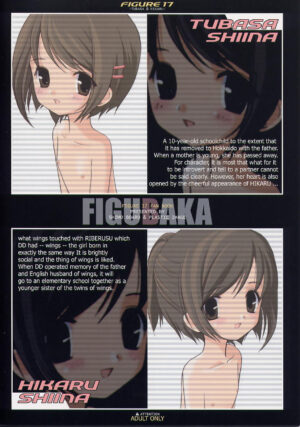 [Shimoboard, PLASTIC IMAGE (Shimosan, Shimamura Miwa)] FIGUBAKA (Figure 17)