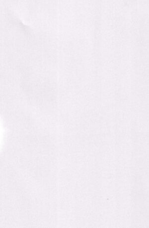(HARUCC31) [Hakkyou Pepiita (Poshintan)] Kachiku Oyako / Yuki no Ue ni Ochita Omae no Chi no Ato - El rastro de tu sangre en la nieve (Made in Abyss) [Chinese] [逃亡者×真不可视汉化组] [Digital]