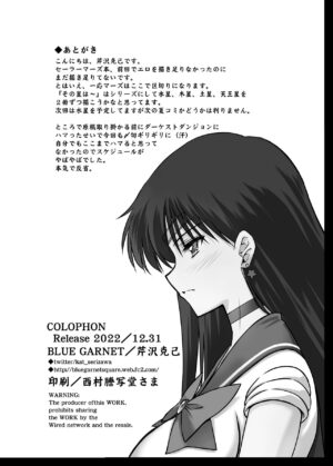 (C100) [Blue Garnet (Serizawa Katsumi)] Sono Hoshi Ha Yogosarete (Bishoujo Senshi Sailor Moon) [Chinese] [胸垫汉化组]