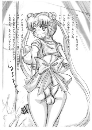 [NAMANECOTEI (chan shin han)] FUTANARI：CHAOS＋ (Bishoujo Senshi Sailor Moon, Mahou Shoujo Ai, Neon Genesis Evangelion)
