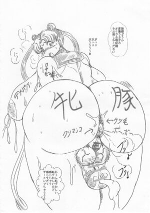 [NAMANECOTEI (chan shin han)] Futanari Botebara Sailor Senshi (Bishoujo Senshi Sailor Moon)