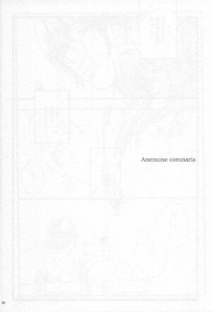 (C97) [solala (Riko)] Anemone coronaria (Love Live!)