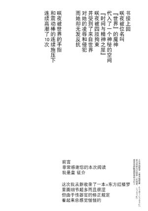 (C85) [Sumeragi Designs (Sumeragi Seisuke)] D4C continue (Touhou Project) [Chinese] [BLUE氪个人翻译]
