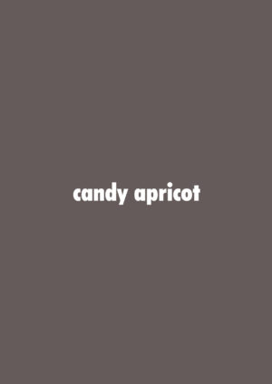 [candy apricot (Mashita)] Josou Shounen Netorare Kumite [Digital]