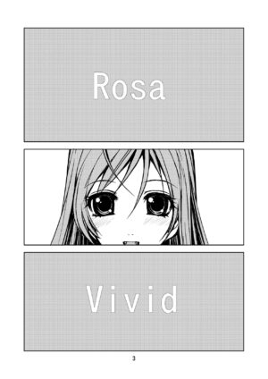 (SC39) [Obsidian Order (Shoda Norihiro)] RV - Rosa Viva (Rosario + Vampire) [Chinese] [不咕鸟汉化组]