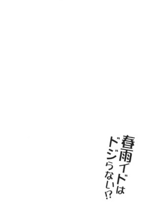 [Apple Water (Ringo Sui)] HarusaMaid wa Dojiranai!? (Kantai Collection -KanColle-) [Chinese] [吸住没碎个人汉化] [Digital]