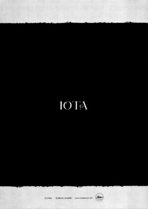 (C103) [RIN (Mochi)] IOTA