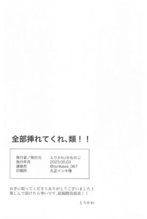 (Meguru Itsuka no STAGE!) [Kawanoji (Torikawa)] Zenbu Irete Kure, Rui!! (Project SEKAI)
