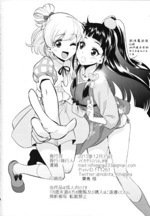 (C89) [Nobita Graph (Ishigana)] Haru-ya no Musume-san (Go! Princess PreCure) [Chinese] [ancient个人汉化]