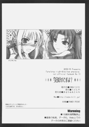 (C71) [UDON-YA (Kizuki Aruchu, ZAN)] Kyou dake desu yo? (Fate/hollow ataraxia)
